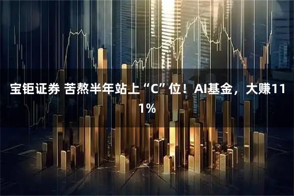 宝钜证券 苦熬半年站上“C”位！AI基金，大赚111%