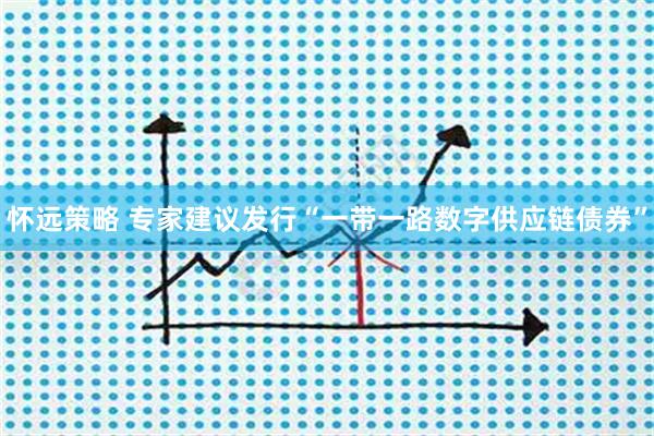 怀远策略 专家建议发行“一带一路数字供应链债券”