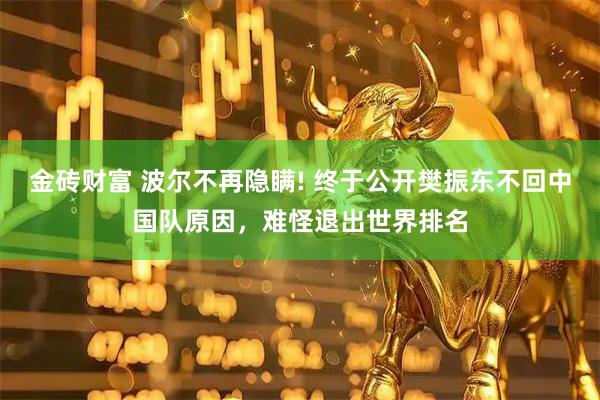 金砖财富 波尔不再隐瞒! 终于公开樊振东不回中国队原因，难怪退出世界排名