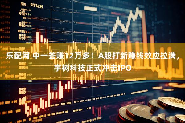 乐配网 中一签赚12万多！A股打新赚钱效应拉满，宇树科技正式冲击IPO