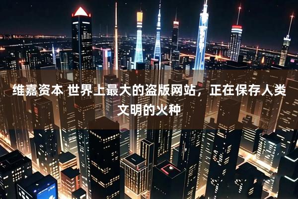 维嘉资本 世界上最大的盗版网站，正在保存人类文明的火种